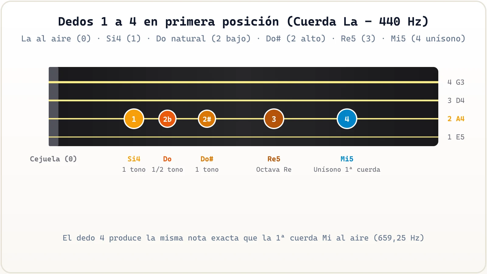 Colocación de dedos en primera posición sobre el diapasón de violín mostrando tonos y semitonos