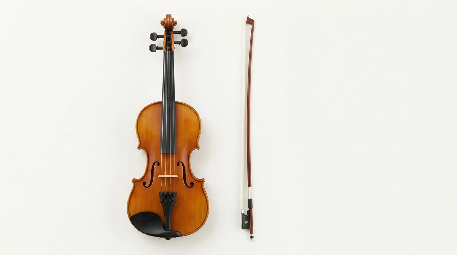 Partes del violín y del arco: voluta, puente, efes, cordal, vara, nuez y cerdas